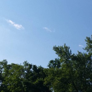 女女c🔞黄㊙️❌B站97
